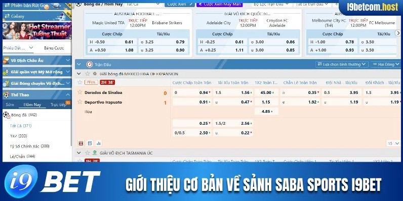 Giới thiệu cơ bản nhất về sảnh Saba Sports I9BET