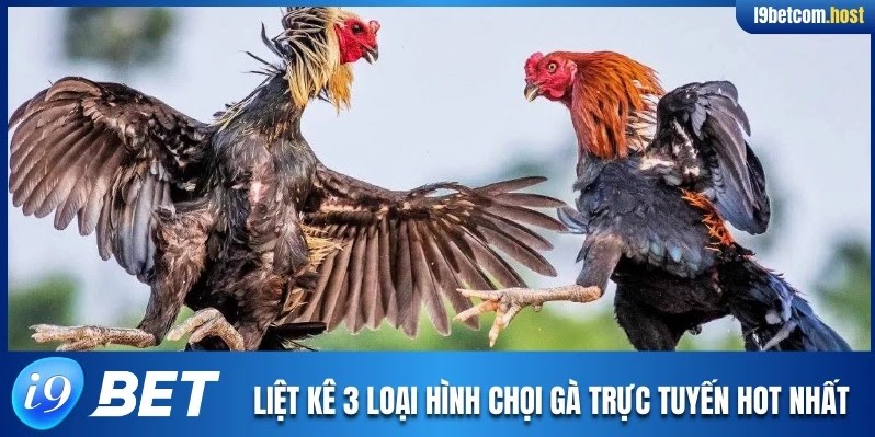 Liệt kê 3 loại hình chọi gà trực tuyến hot nhất